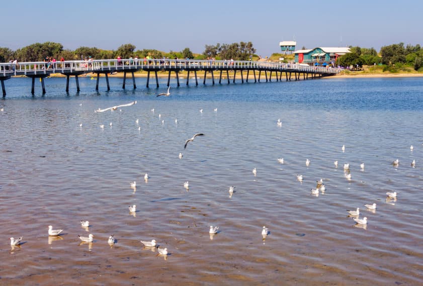 15 plages étonnantes qui brillent dans le noir