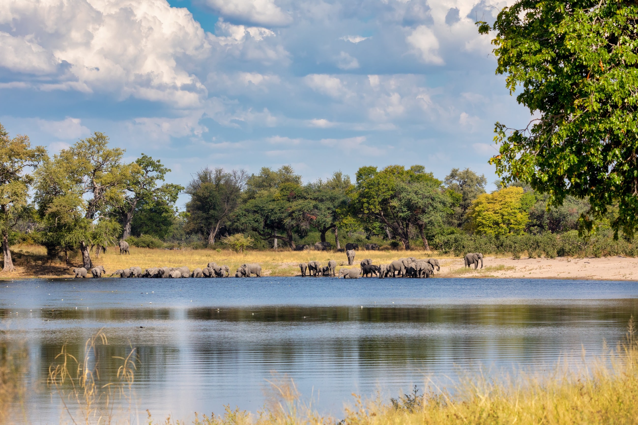 Le parc National de Kafue, Zambie