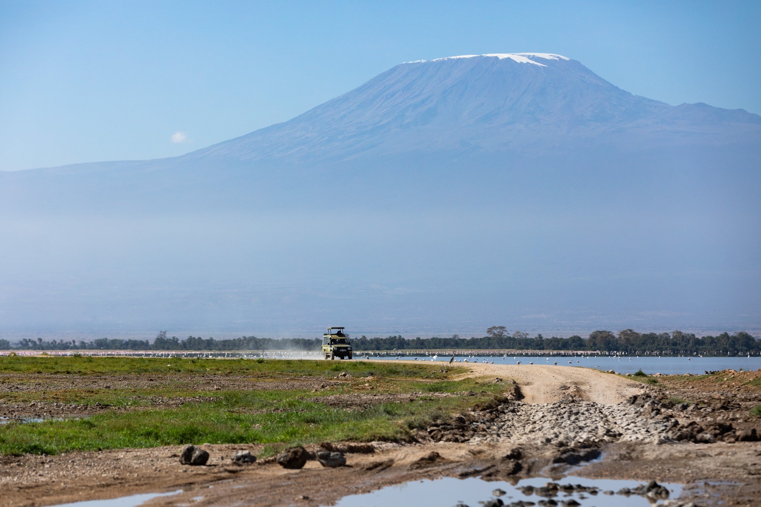 Le parc d'Amboseli, Kenya