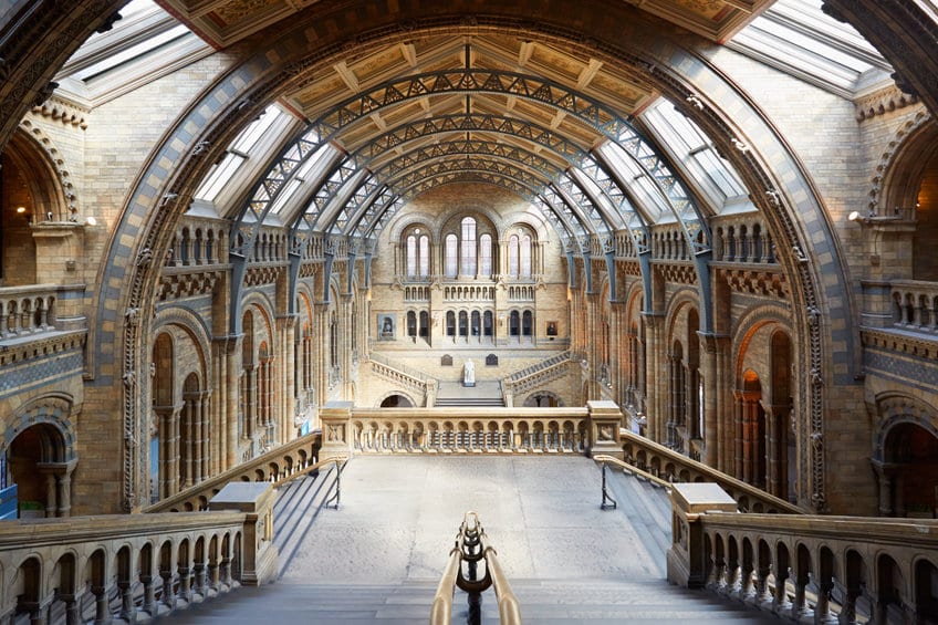 Musée de l'histoire naturelle intérieur