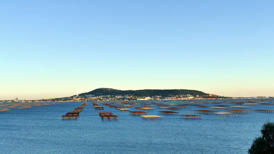 Les tables des parcs à huîtres sur l'étang de Thau face au Mont Saint-Clair et à la ville de Sète