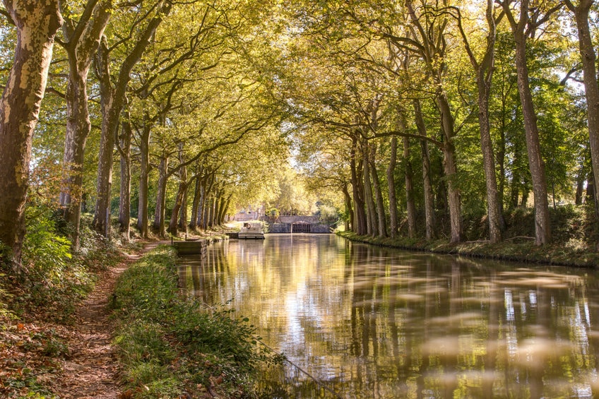 Le canal du midi