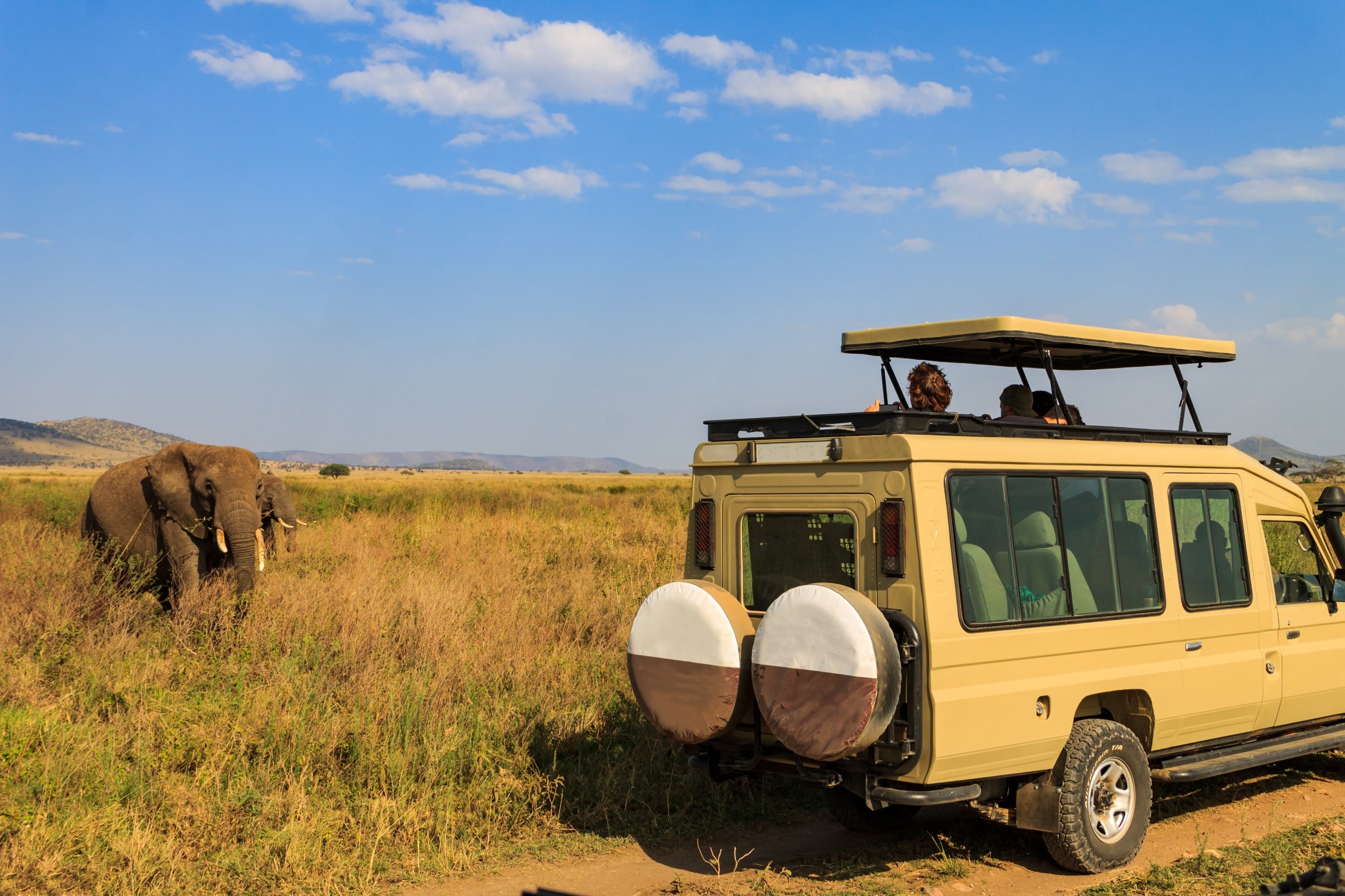 Safari au Kenya : 10 conseils pour bien profiter