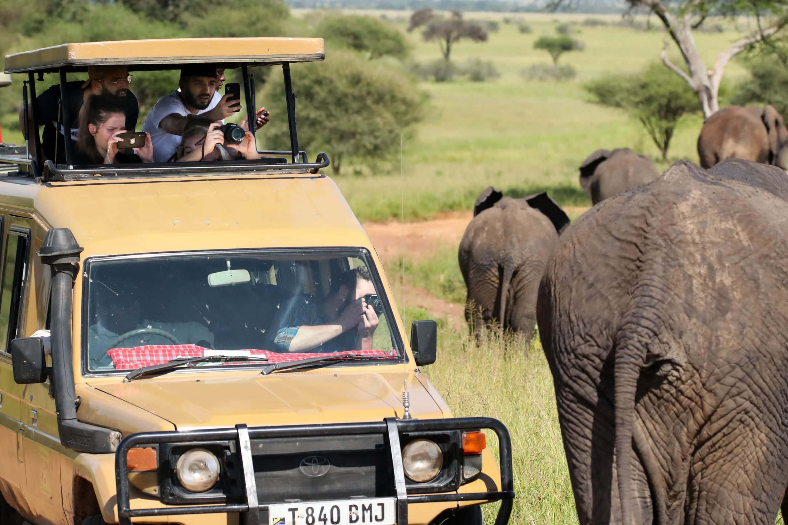 Des touritses en voiture face à un éléphant